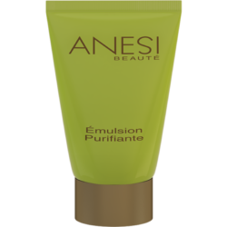 ANESI Dermo Controle Emulsion Purifiante - päevaemulsioon probleemsele nahale, 50ml